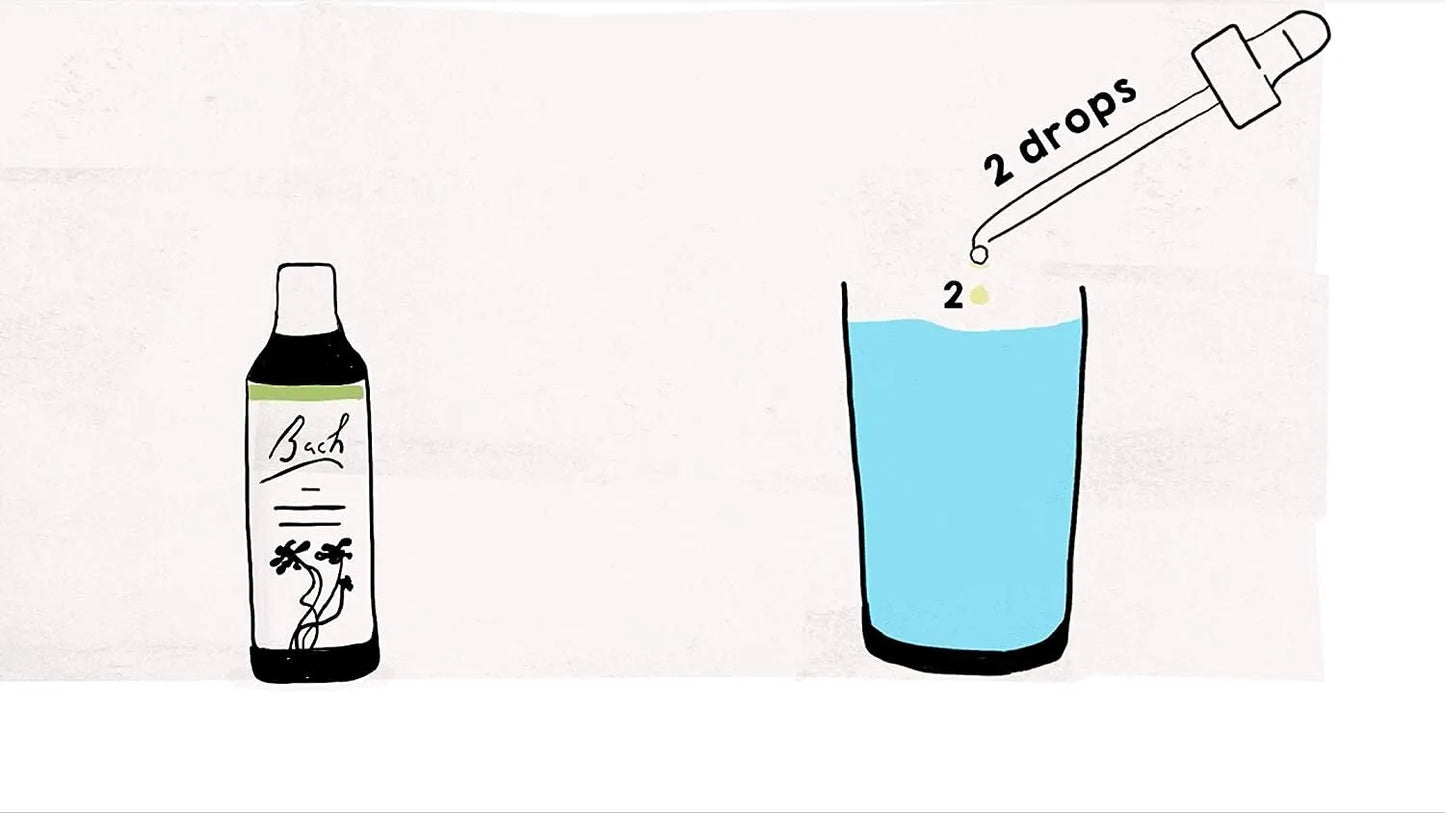 Discover Peace and Healing with Bach Original Star of Bethlehem Flower Remedy