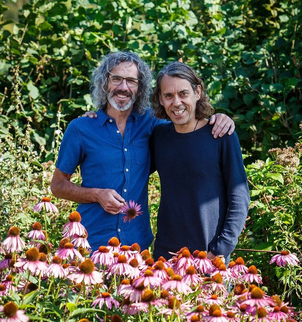 Pukka Herbal Tea Collection Lemon Ginger & Manuka Honey 20 Sachets