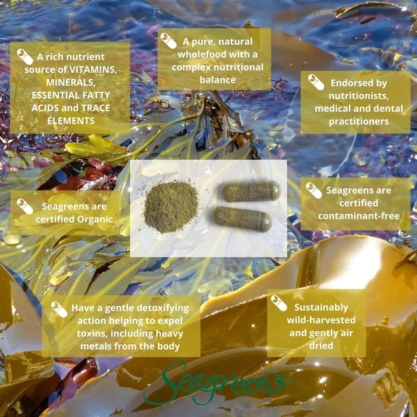 Seagreen Seaweed Food Supplement 180 Capsules, 3-Month Supply