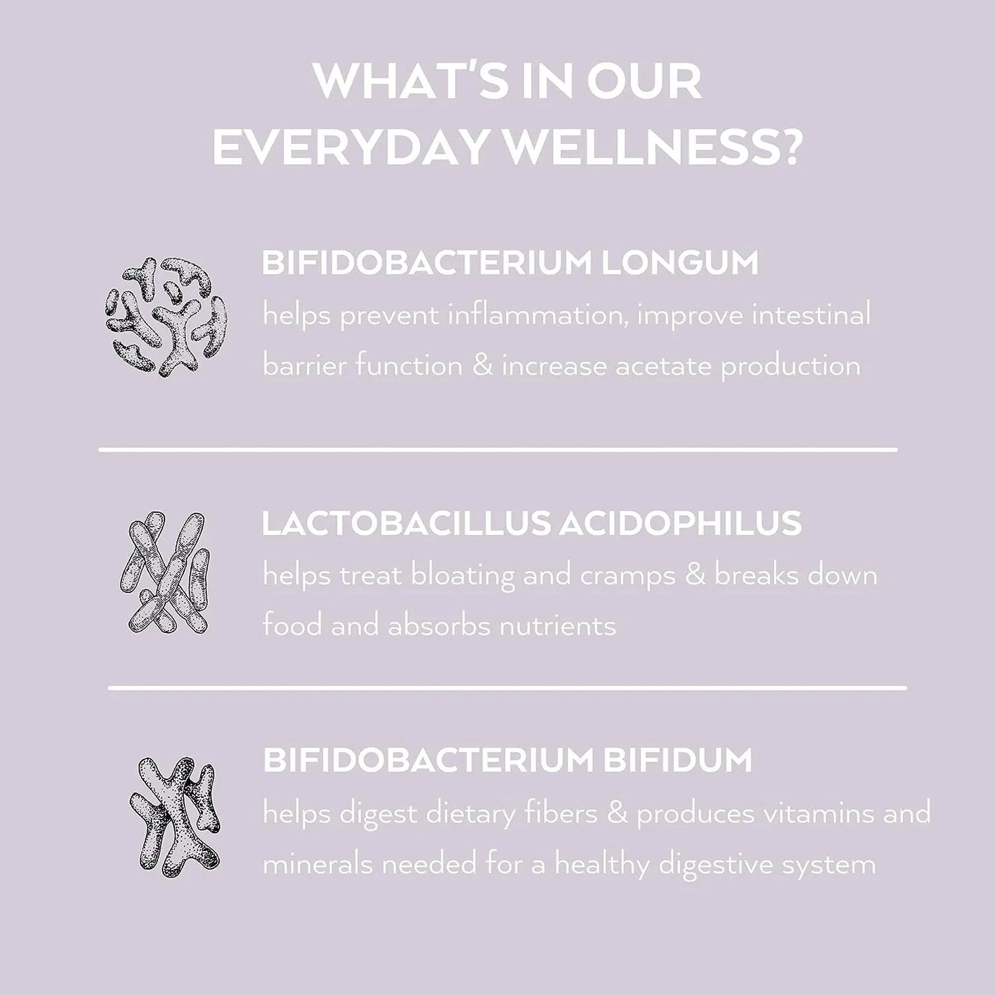 Simone Thomas Wellness Probiotic Digestive & Gut Health for Women - 60 Caps