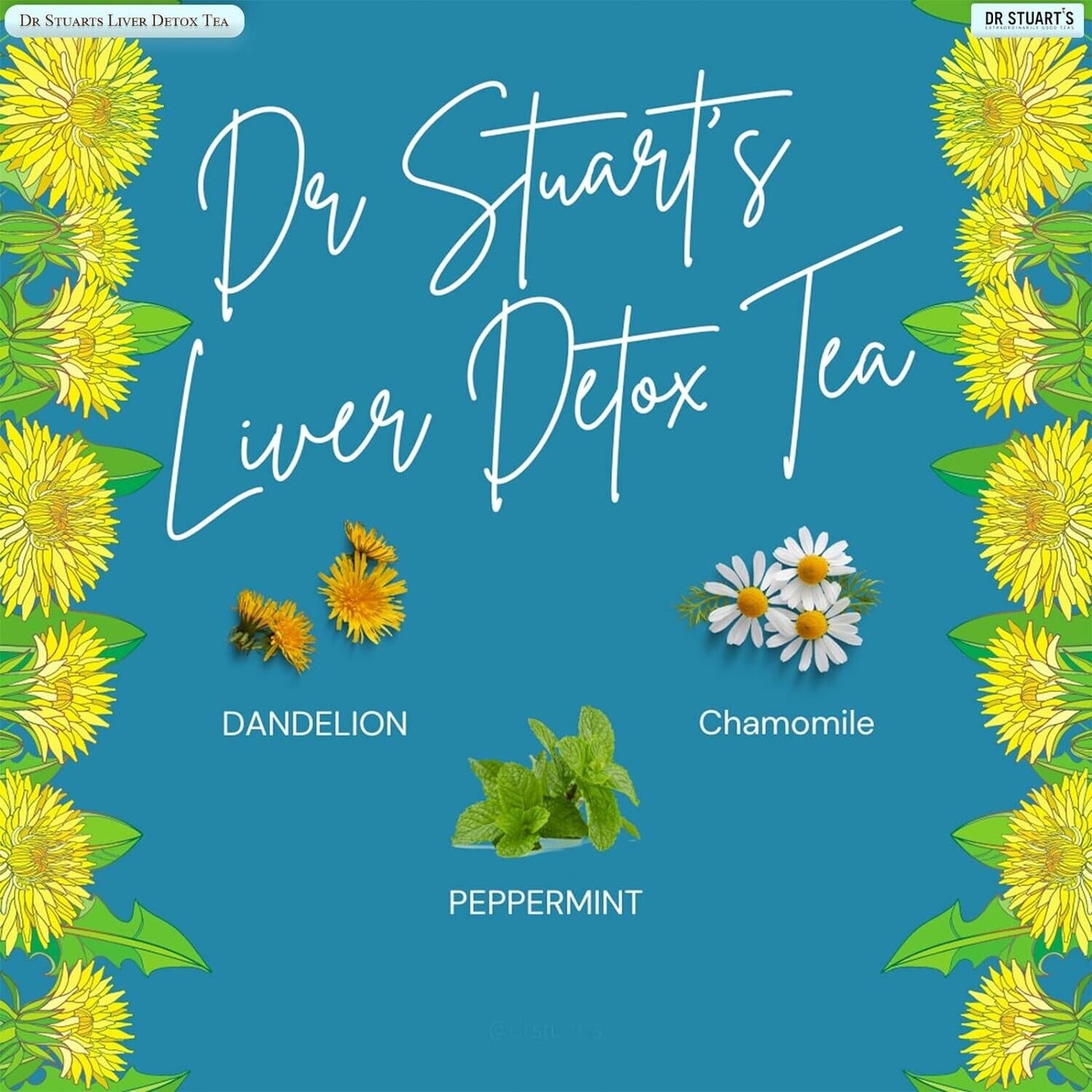 Dr Stuart’s Liver Detox Tea 15 Bags