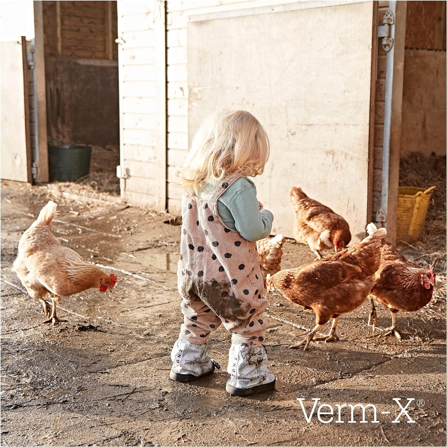 Verm-X Liquid Poultry & Fowl Internal Parasite 250Ml