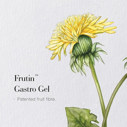 Organic Frutin Gastro Gel 60 Tablets for Digestive Comfort